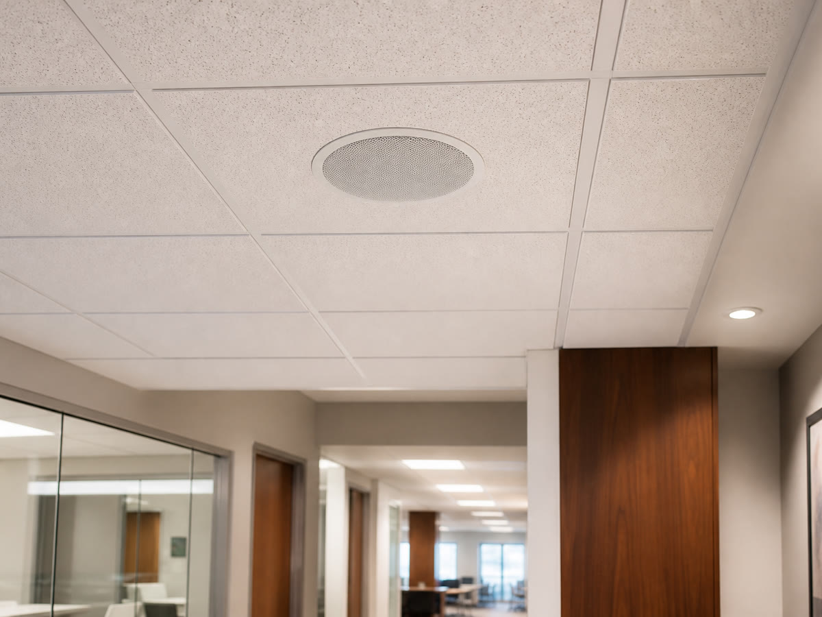 Sonos in-wall and in-ceiling architectural speakers for discreet commercial AV in Virginia offices and retail.
